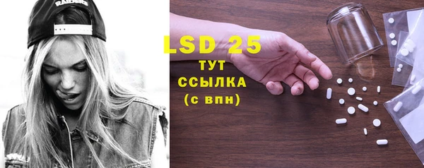 стаф Дмитровск