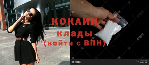 стаф Дмитровск