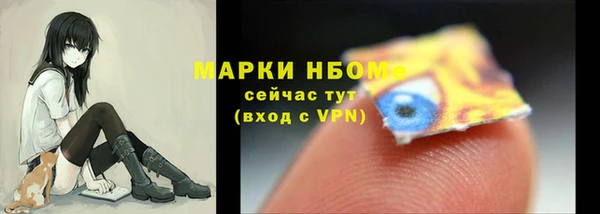 стаф Дмитровск