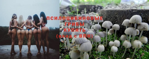 стаф Дмитровск