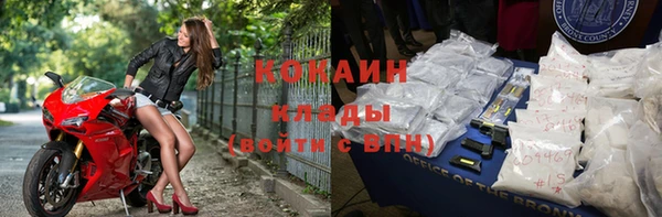 стаф Дмитровск