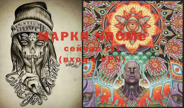 стаф Дмитровск