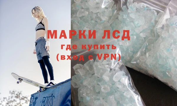 стаф Дмитровск