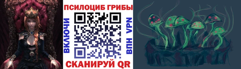 где купить наркотик Зерноград блэк спрут онион Галлюциногенные грибы MAGIC MUSHROOMS
